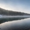 Wildnis