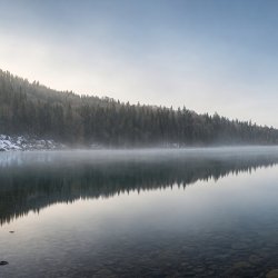 Wildnis