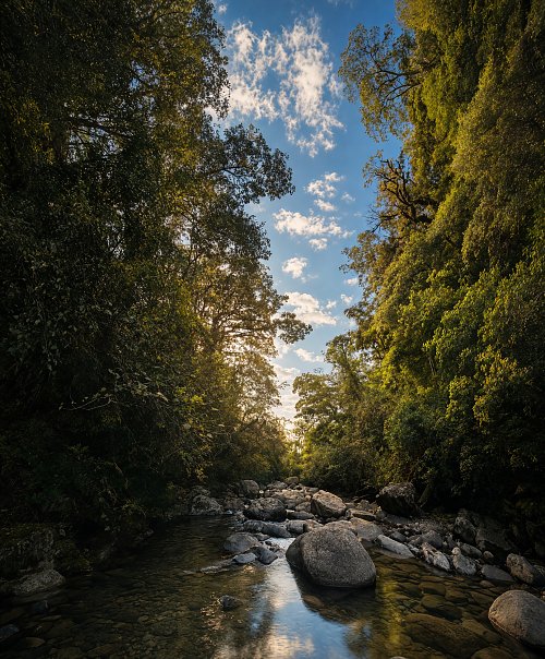 Wildwasser Wandbild