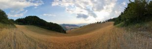 Ein-Bett-im-Kornfeld
