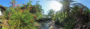Garten-in-CostaRica