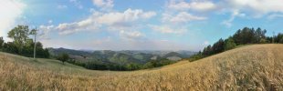 Getreidefeld-Italien