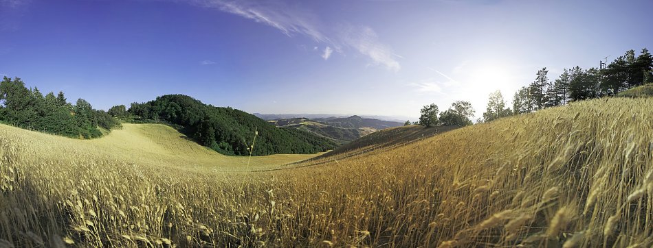 Italien Toscana Wandbild