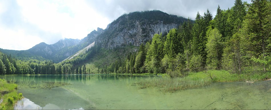 Natur Wandbild