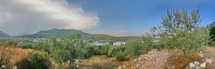 Olivenhain-Griechenland