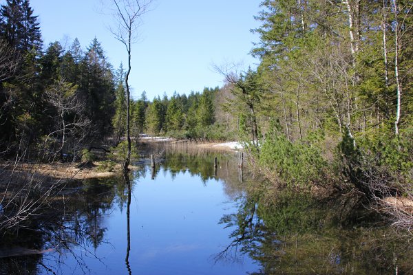 Bergsee Wandbild