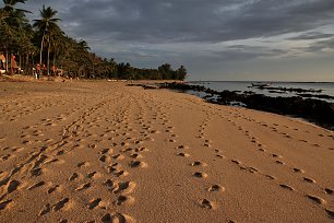 Fussspuren im Sand Wandbild