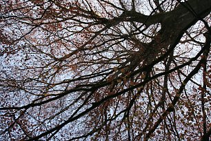 Herbst Wandbild