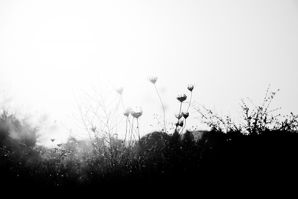 SchwarzWeiss0043 Wandbild