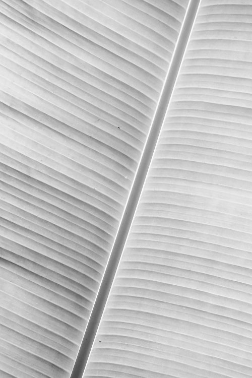 SchwarzWeiss0048 Wandbild