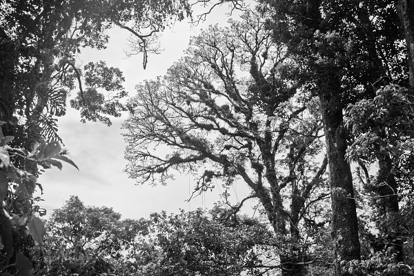 SchwarzWeiss0097 Wandbild