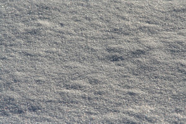 Schneedecke Wandbild