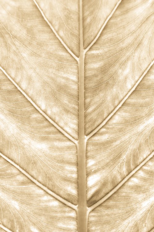 ALT0192 Wandbild