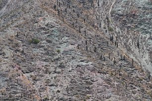 Argentinien 0042 Wandbild