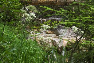 Gras und Steine Wandbild