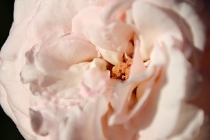 Intimitaet Wandbild