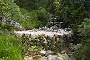 Kunst in der Natur Wandbild