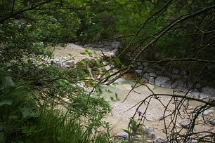 Naturbild am Bach Wandbild