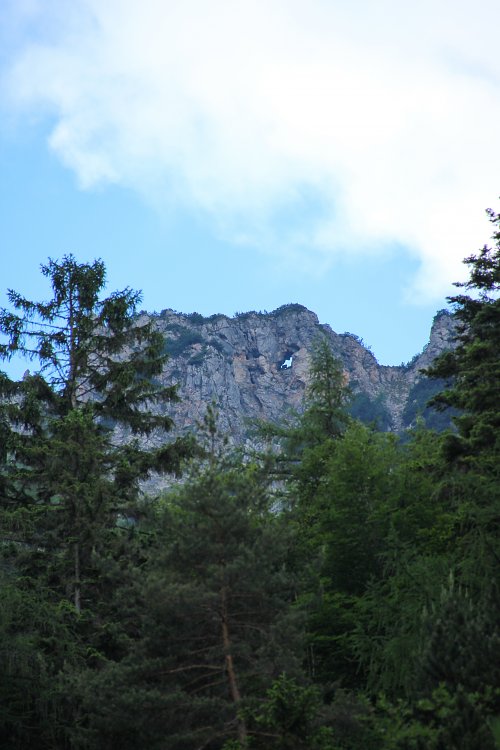 Wald und Gipfel Wandbild
