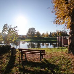 Bank-am-Seeufer