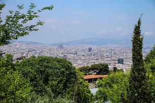 Stadt hinter Baeumen Wandbild