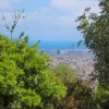 Stadt-hinter-Bueschen