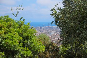 Stadt hinter Bueschen Wandbild