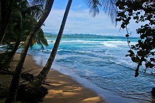 Cahuita Nationalpark Strand Wandbild