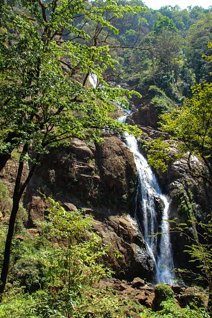 Wasserfall Wandbilder Online Shop