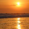 Gelbe-Abendsonne