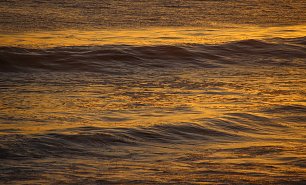 Goldene Wellen Wandbild