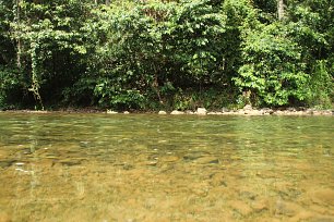 Klares Flusswasser Wandbild