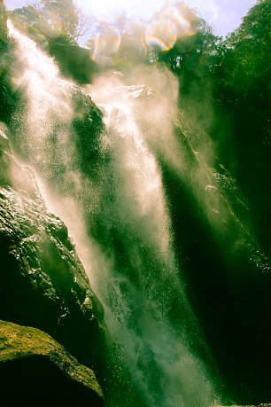 Regenwelt Wandbild