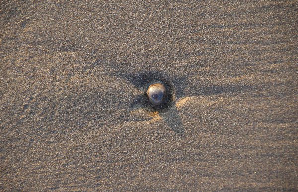 Sand mit Stein Wandbild