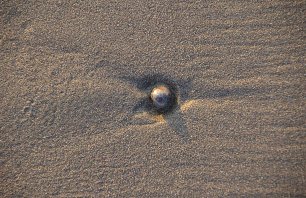 Sand mit Stein Wandbild