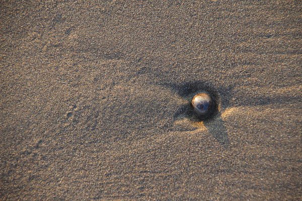 Stein am Strand Wandbild