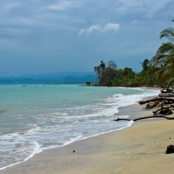 Strand-von-Cahuita