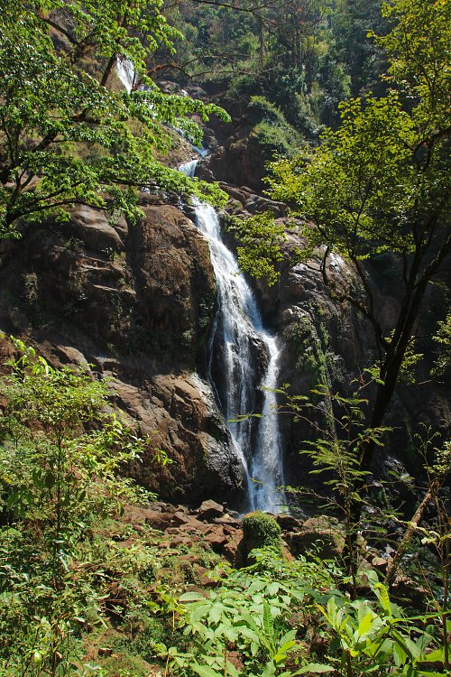 Zauberhafter Wasserfall Wandbild