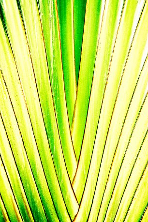 X0074 Wandbild