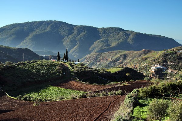 Gran Canaria Landschaft Wandbild