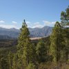 GranCan-0007