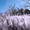 IR0038