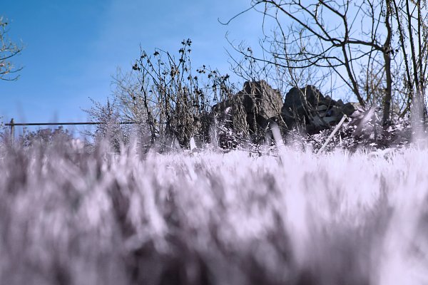 IR0038 Wandbild