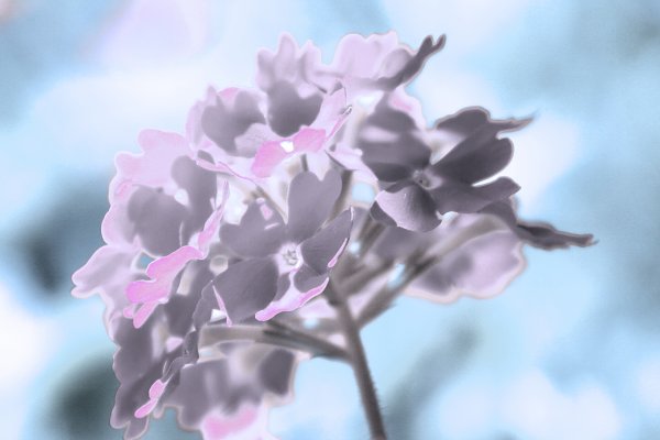 IR0044 Wandbild