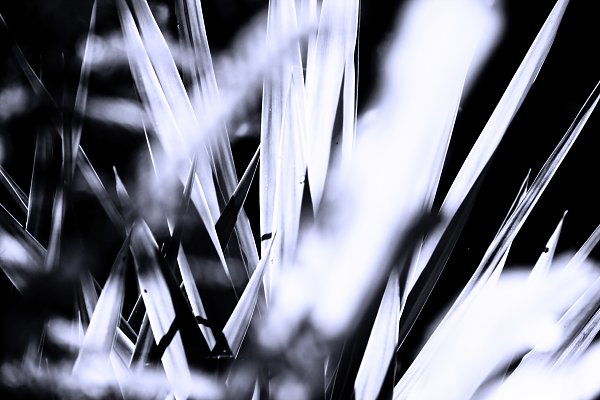 IR0047 Wandbild