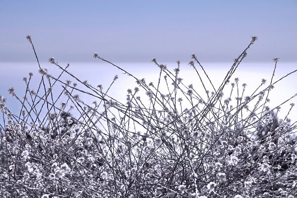 IR0048 Wandbild