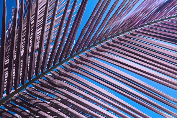IR0077 Wandbild