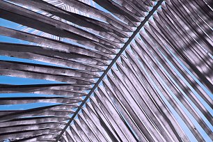 IR0102 Wandbild