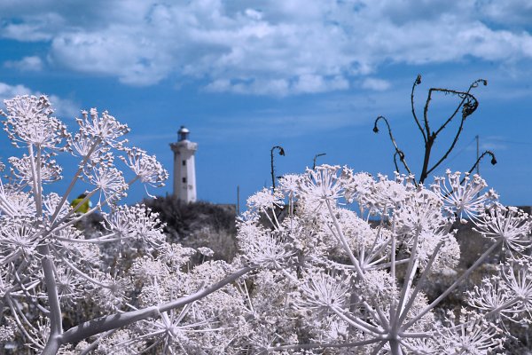 IR0139 Wandbild