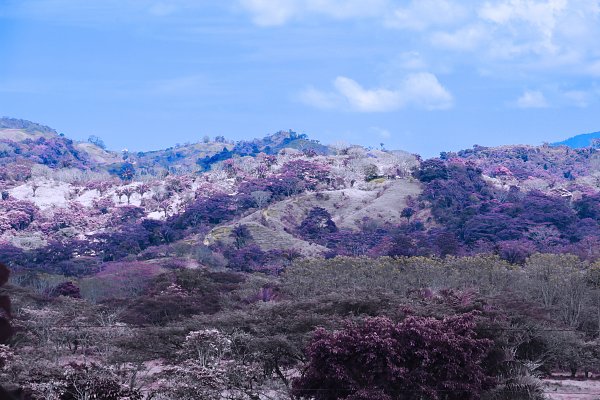 IR0154 Wandbild